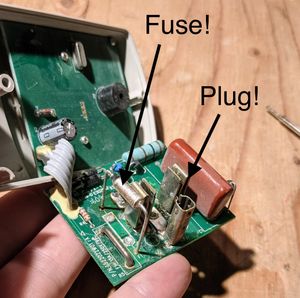 Female plug part of the circuit and the fuse Female plug and fuse